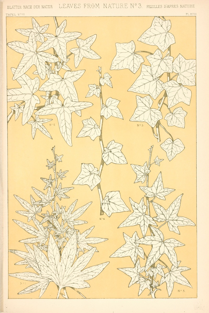Owen Jones - Leaves from Nature No. 3