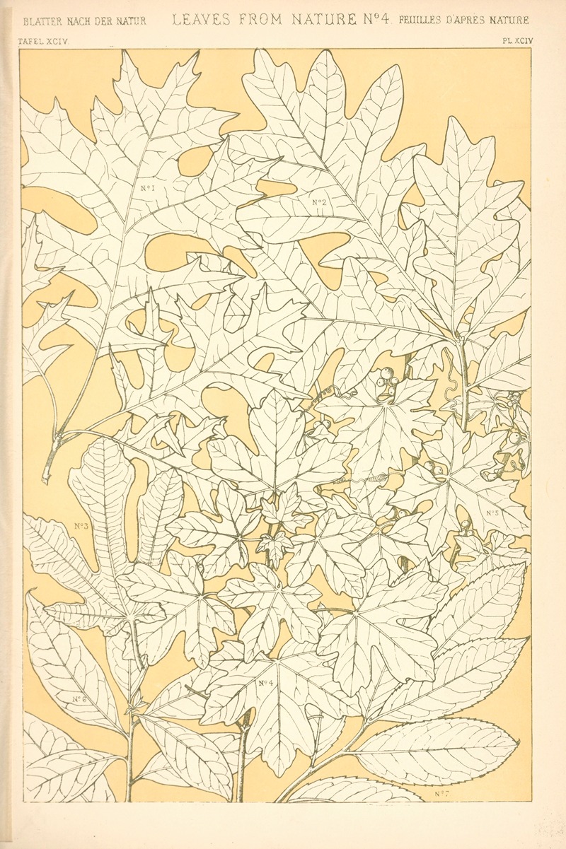 Owen Jones - Leaves from Nature No. 4