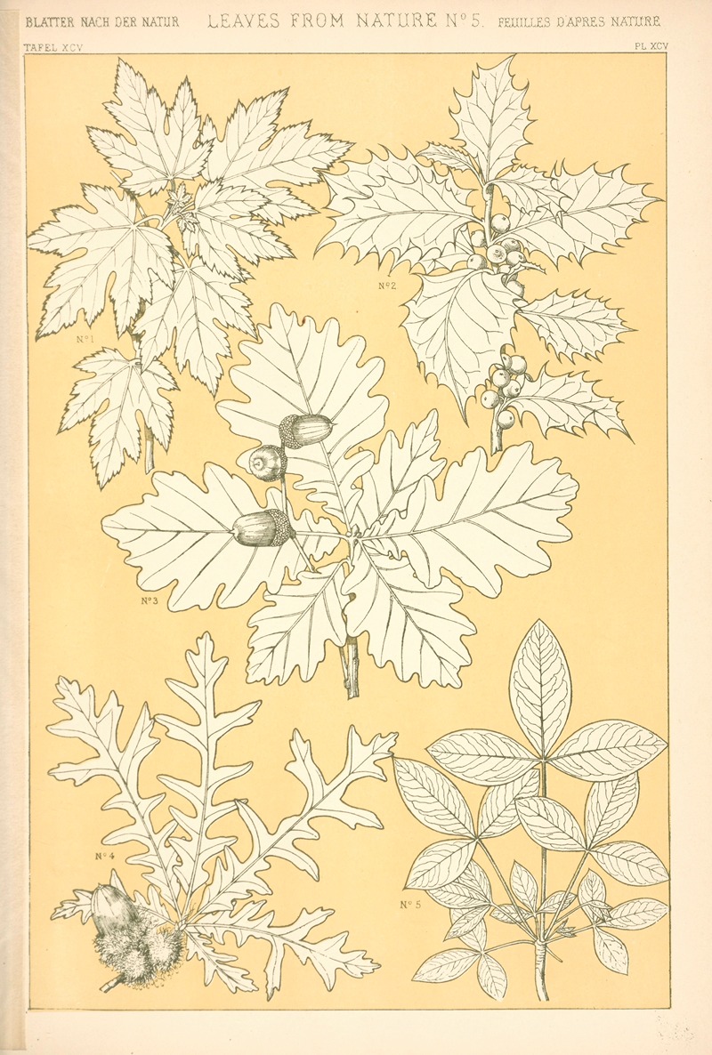 Owen Jones - Leaves from Nature No. 5