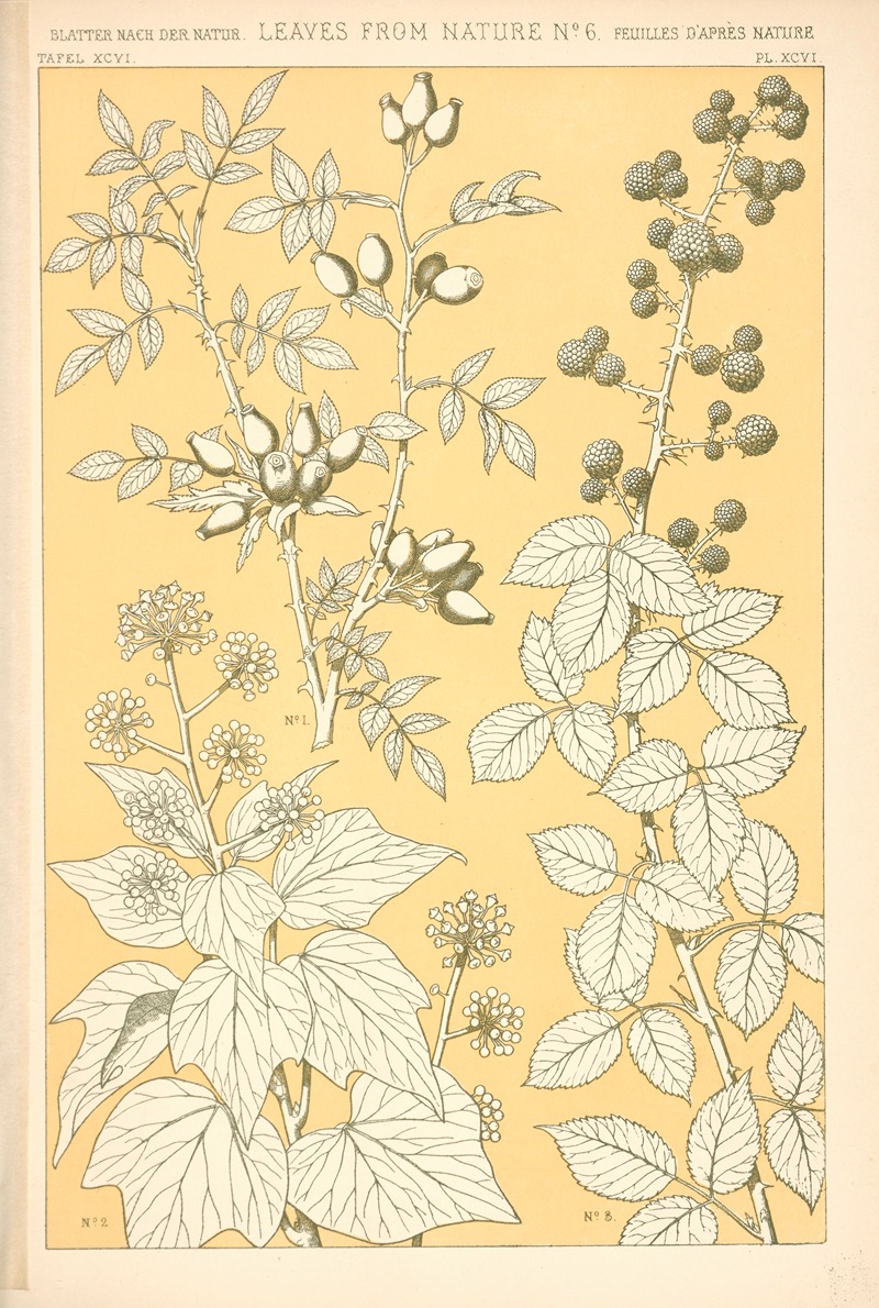 Owen Jones - Leaves from Nature No. 6
