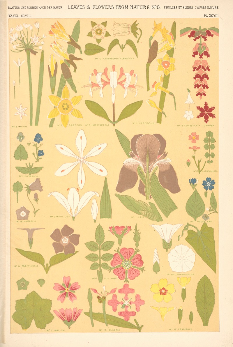 Owen Jones - Leaves from Nature No. 8
