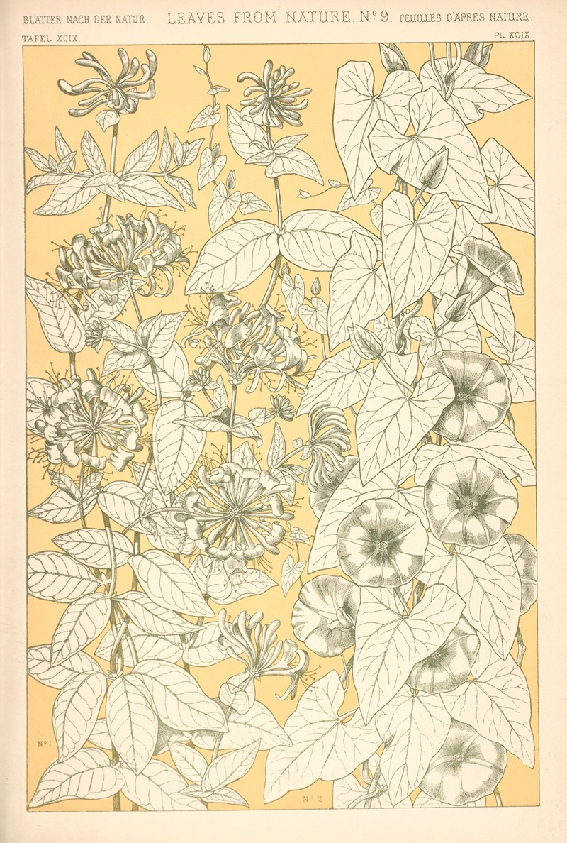 Owen Jones - Leaves from Nature No. 9