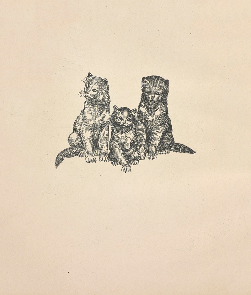 Bogdan Nowakowski - Szkolne przygody Pimpusia Sadełko Pl.14
