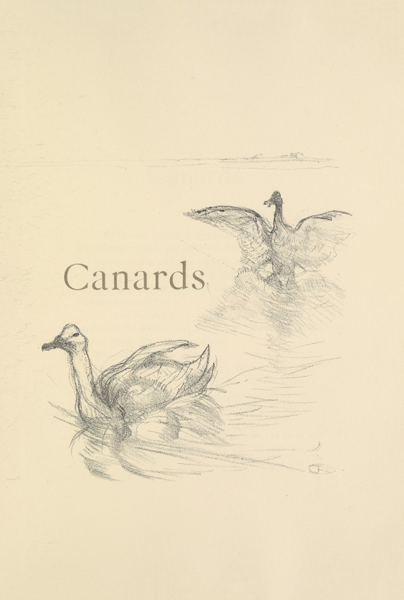 Henri de Toulouse-Lautrec - Canards