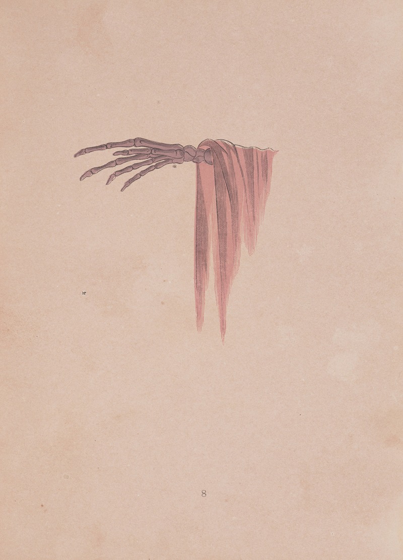 J.H. Brown - Spectropia; or, Surprising spectral illusions; Showing ghosts everywhere, and of any colour Pl.09