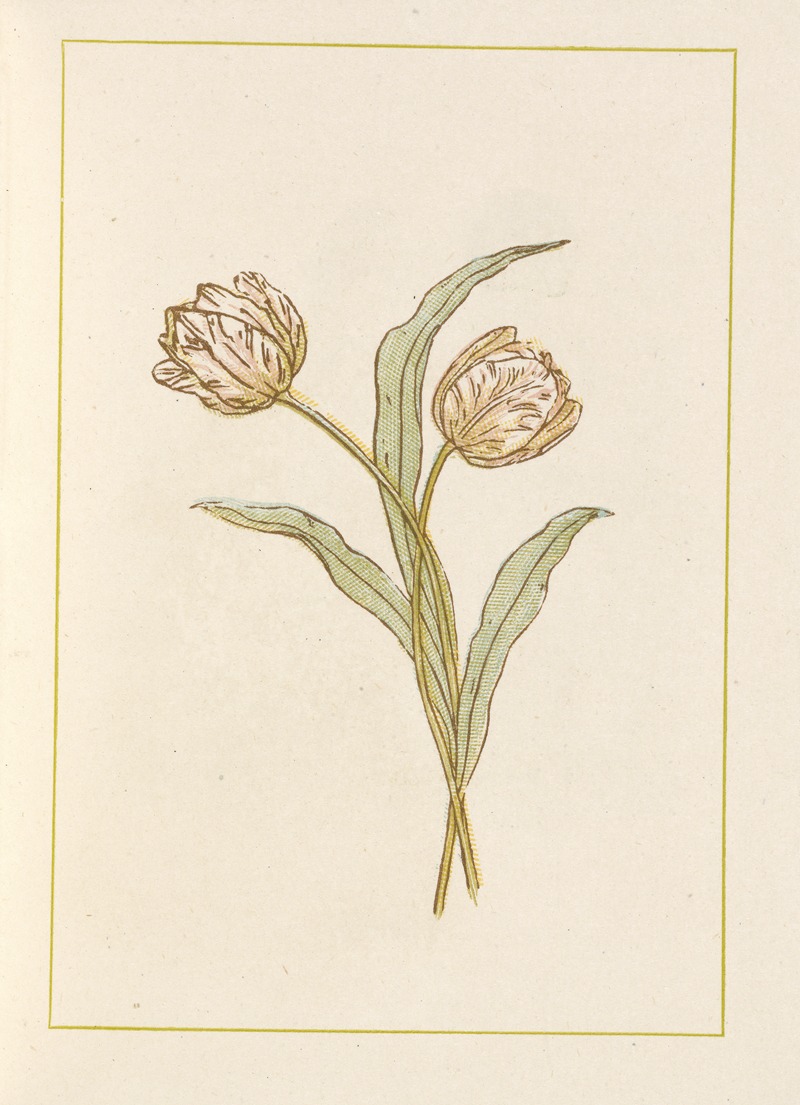 Kate Greenaway - Tulips