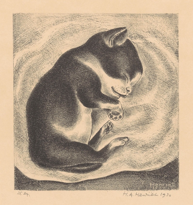 Henk Henriët - Slapende, jonge kat
