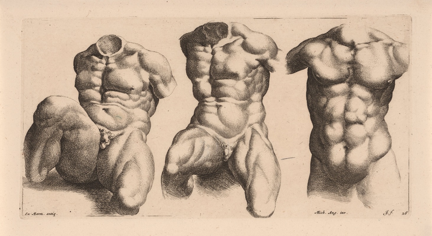 Jan de Bisschop - Three male torsos