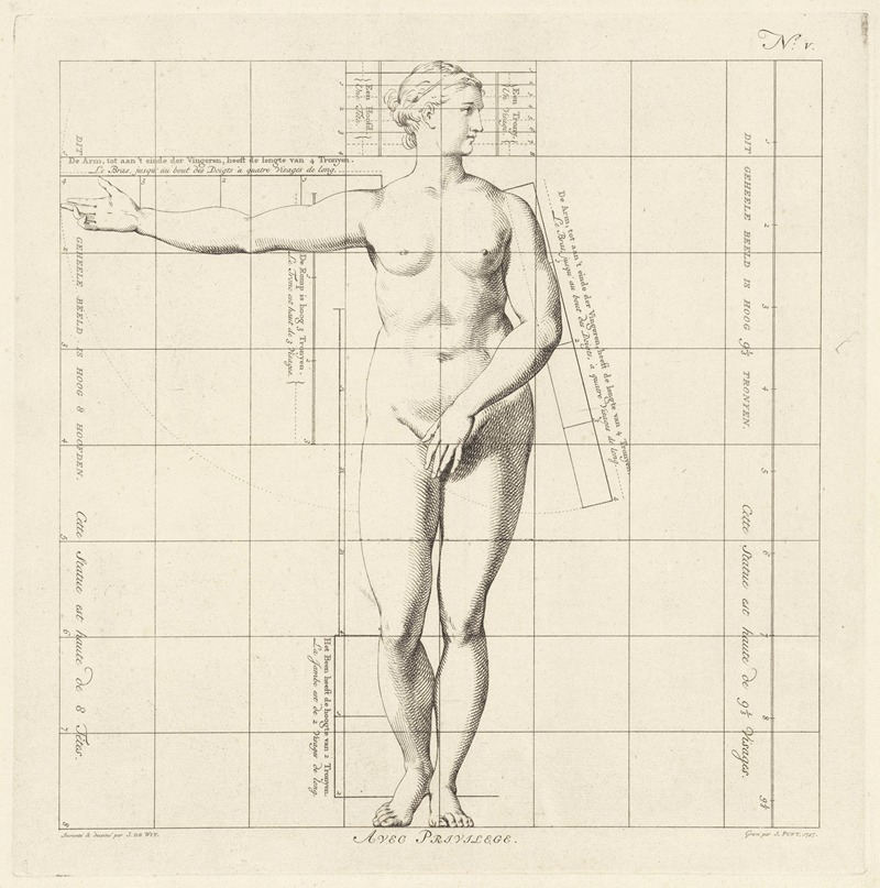 Jan Punt - Proportional study of a woman’s body