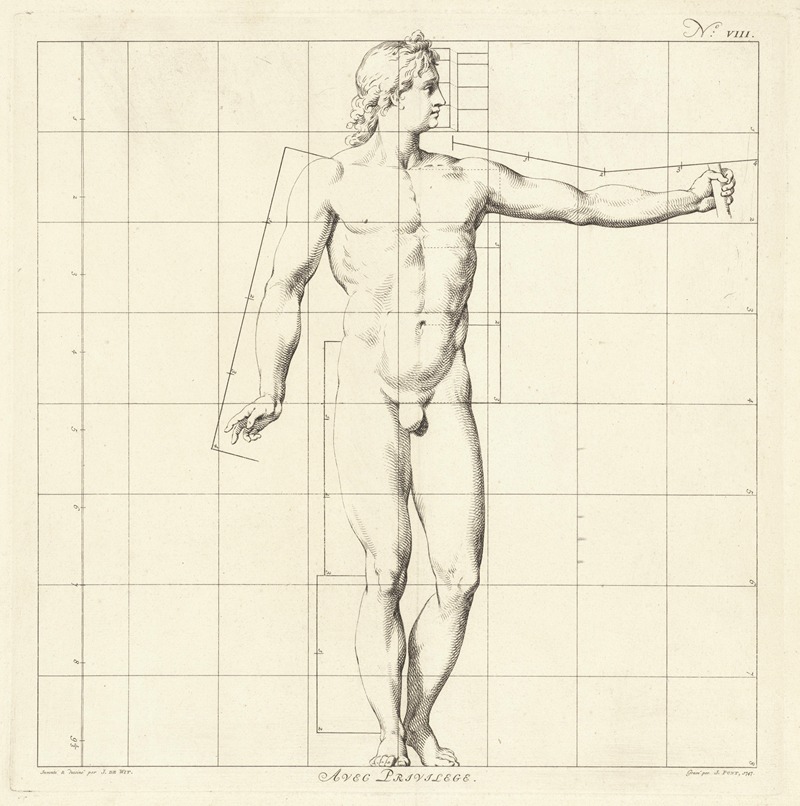 Jan Punt - Proportional study of the body of Apollo Belvedere