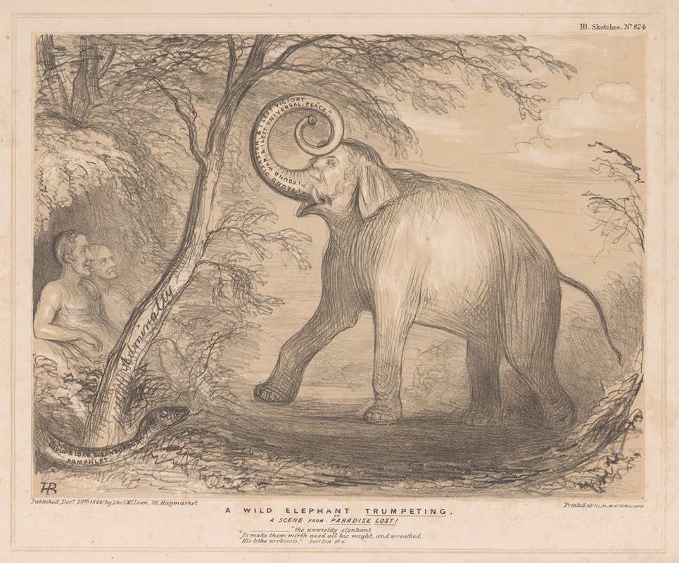 John Doyle - A wild elephant trumpeting. A Scene from Paradise Lost!