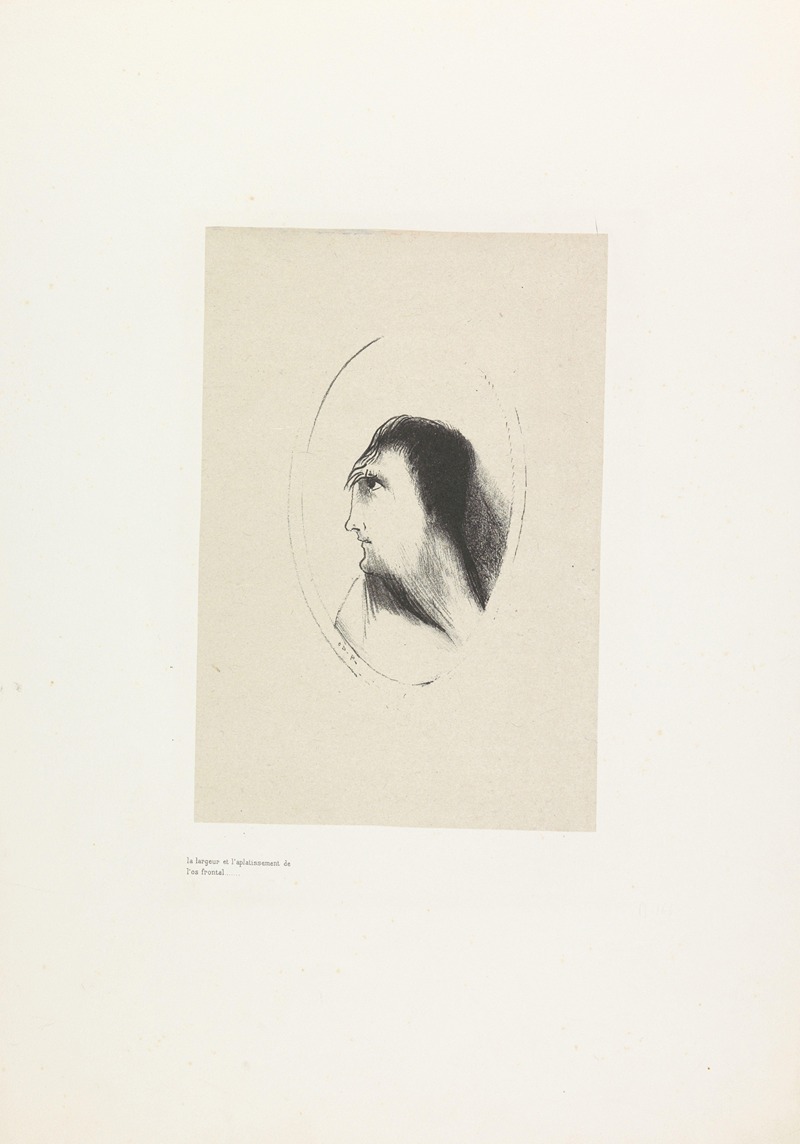 Odilon Redon - The Breadth and Flatness of the Frontal Bone