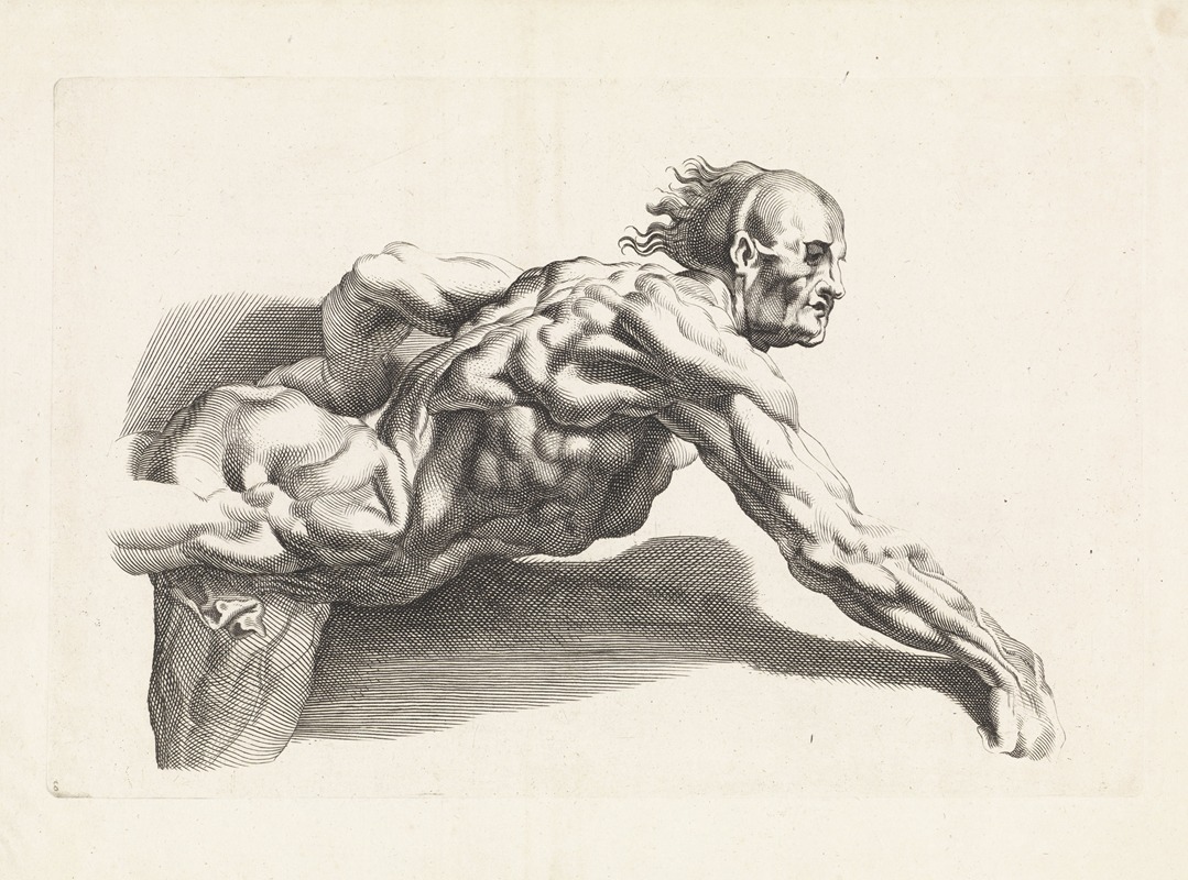 Paulus Pontius - Anatomical study of a man leaning forward