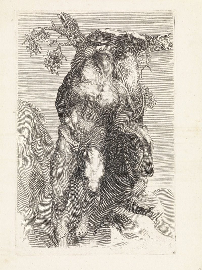Paulus Pontius - Anatomical study of a man tied to a tree