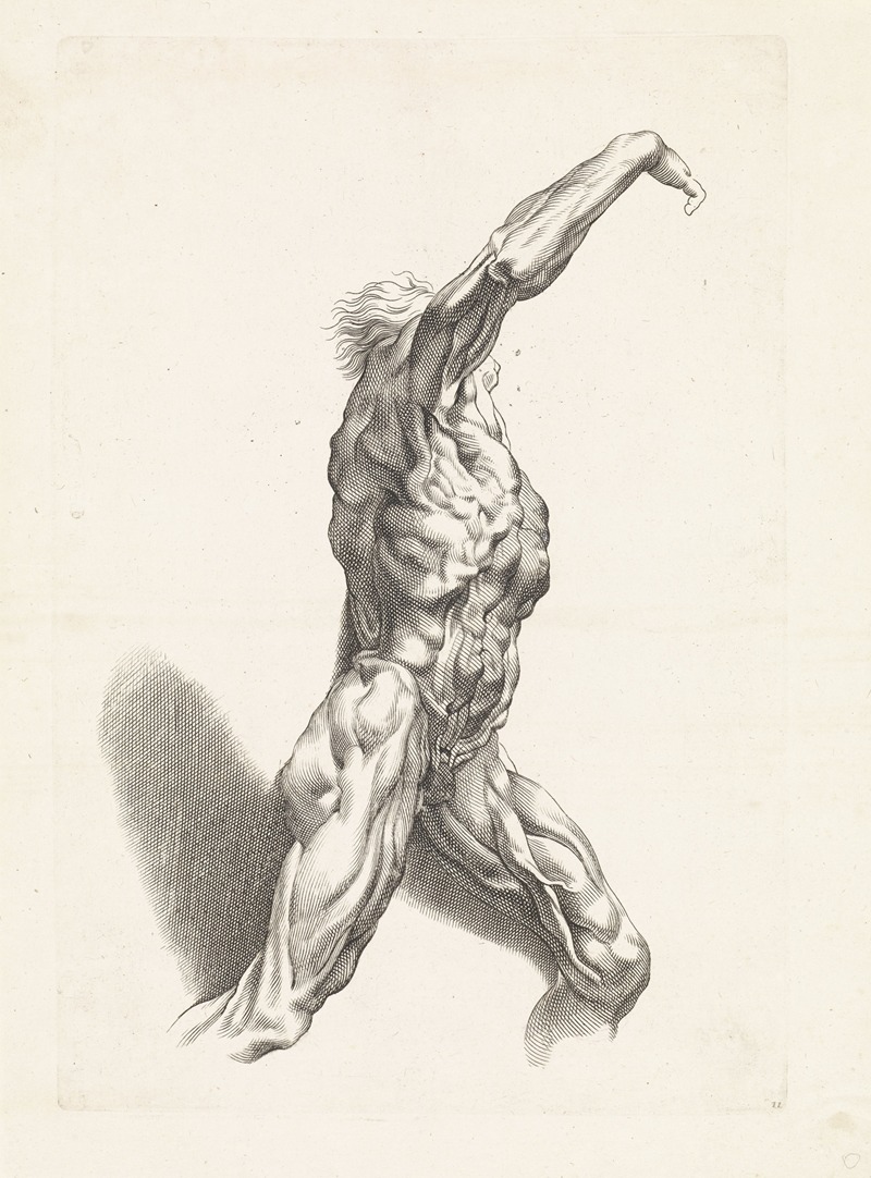 Paulus Pontius - Anatomical study of a man