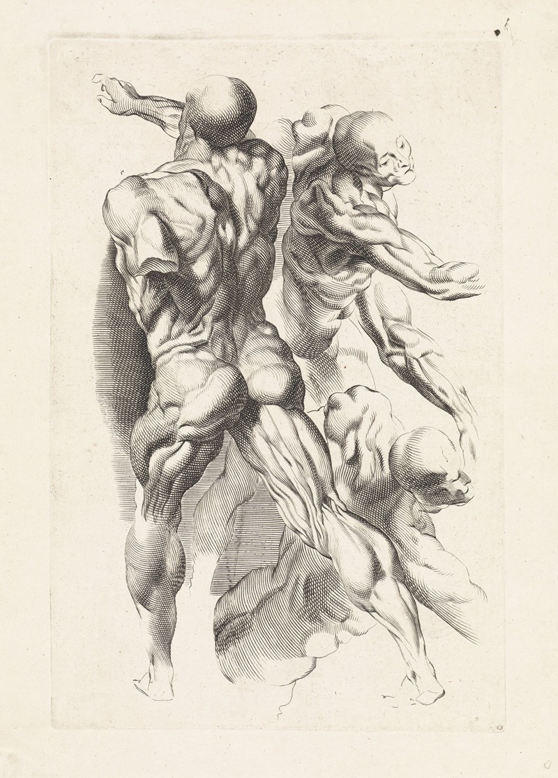 Paulus Pontius - Anatomical study of three figures with outstretched arms