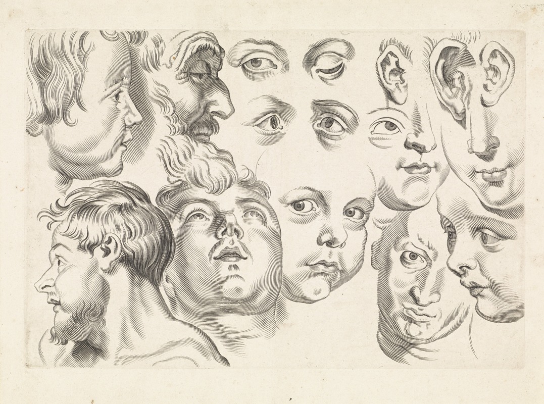 Paulus Pontius - Studies of faces, eyes and ears