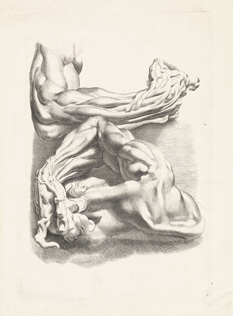 Paulus Pontius - Two anatomical studies of arms.
