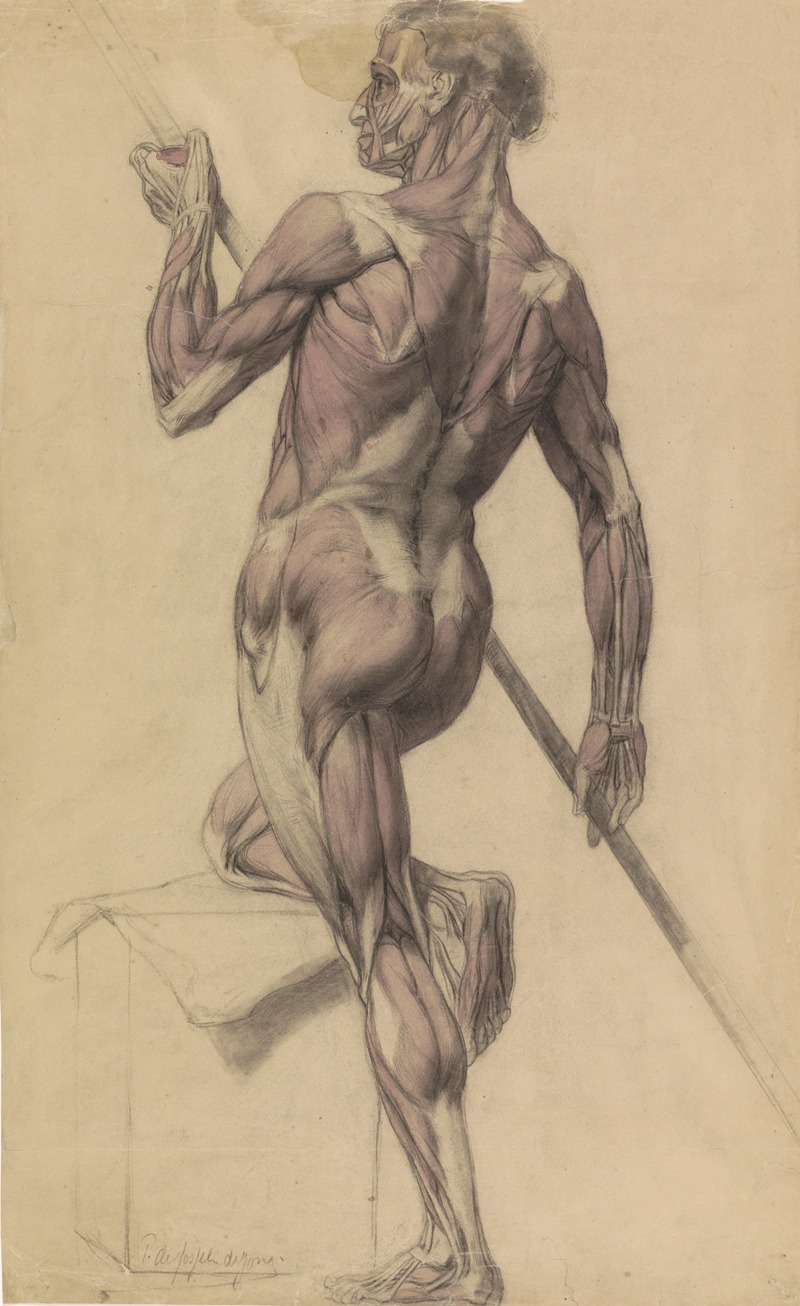 Pieter Josselin de Jong - Anatomische studie van een mannelijk lichaam