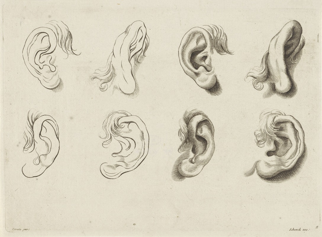 Peter Schenk the Elder - Study of various ears