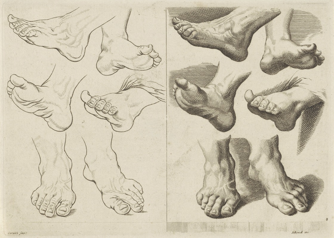 Peter Schenk the Elder - Study of various feet