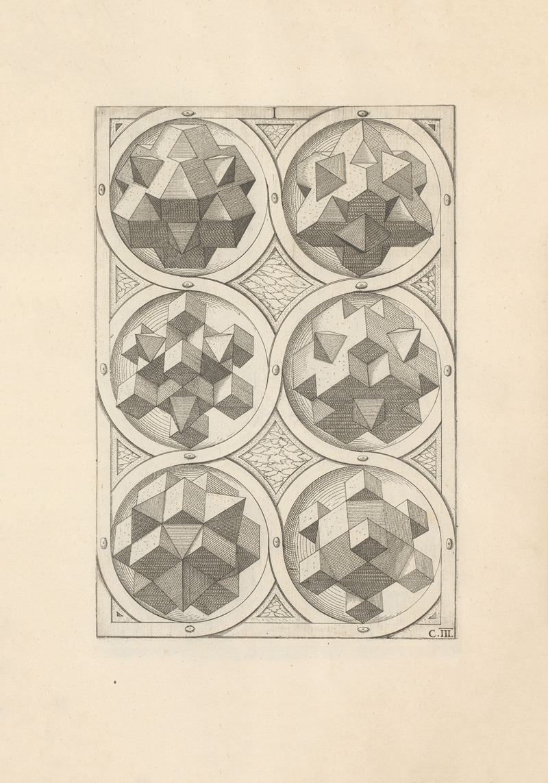 Wenzel Jamnitzer - Perspectiva Corporum Regularium (Perspective of regular solids) Pl.14
