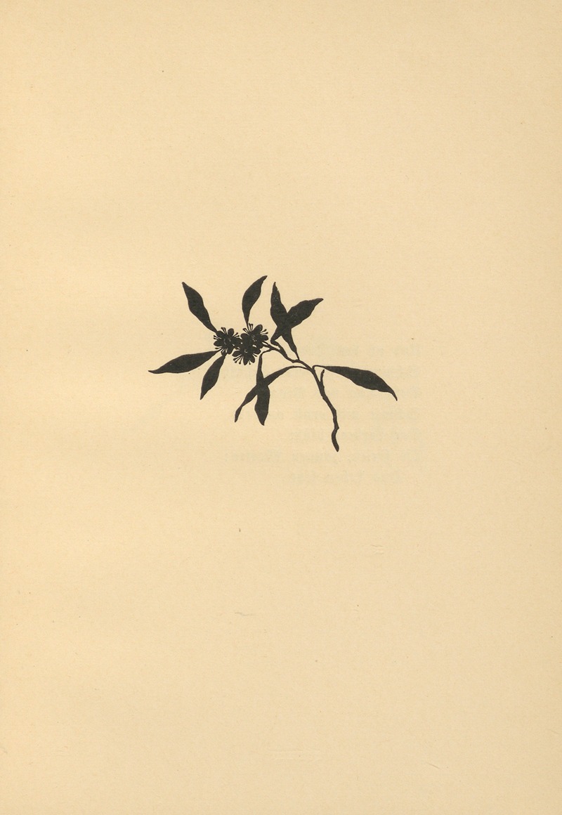 Johanna Beckmann - Wenn Fruhlig wird Pl.57