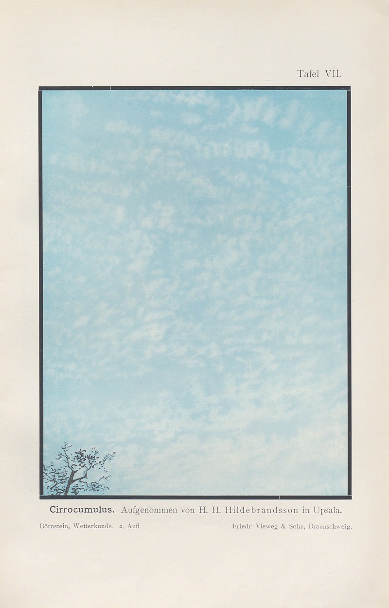 Richard Börnstein - Cirrocumulus