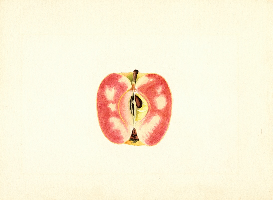 James Marion Shull - Malus domestica: Surprise