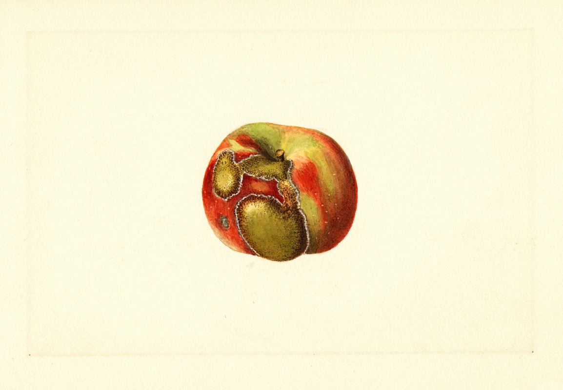 James Marion Shull - Malus domestica